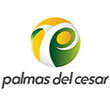 palmas-del-cesar